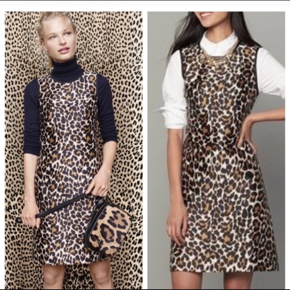 J Crew Sleeveless Dress